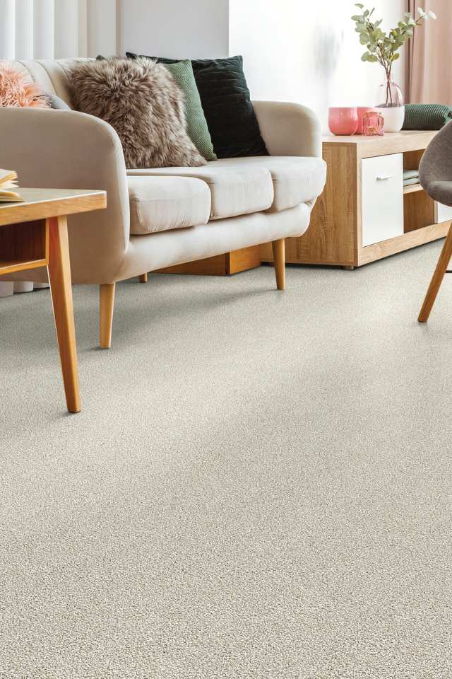 gray plush carpet in modern living room with peachy accent decor